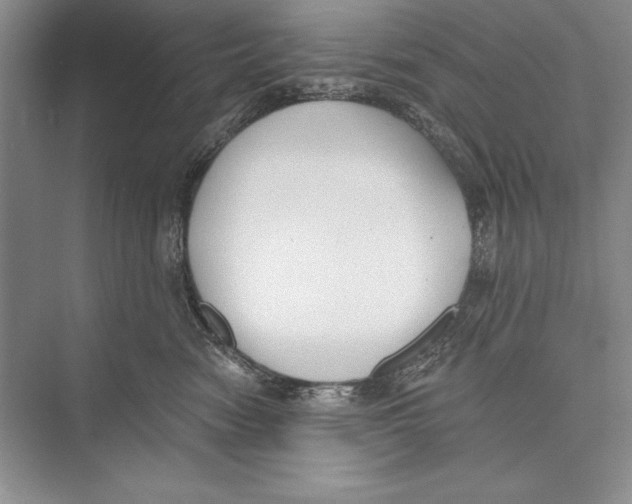 X0000072490474200608111607