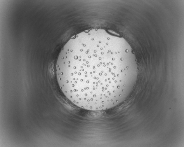 X0000072490479200608111607