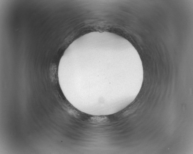 X0000072490480200608111607