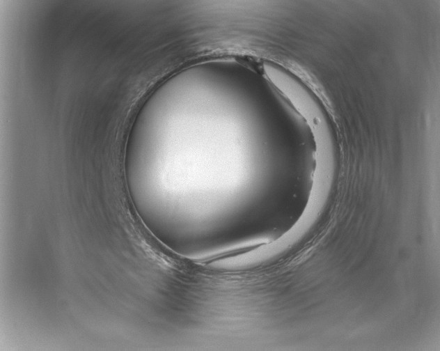 X0000072490481200608111606