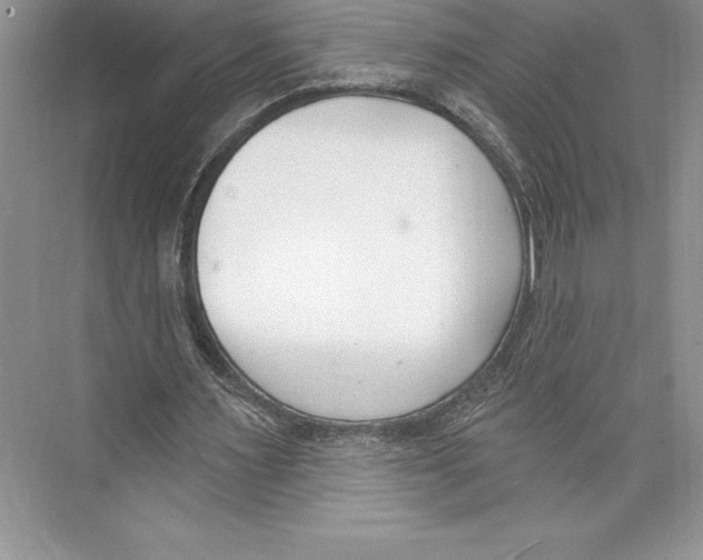 X0000072490483200608111606