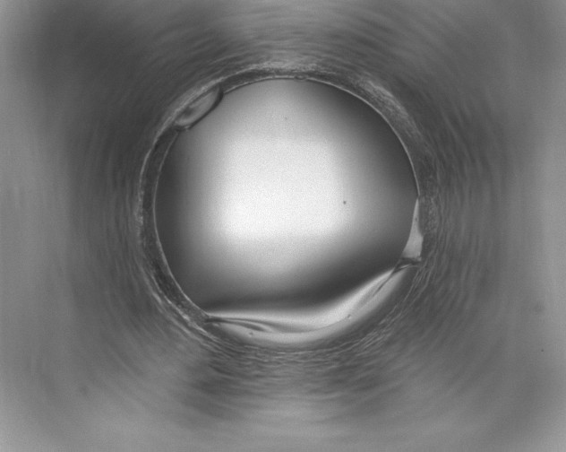 X0000072490484200608111606