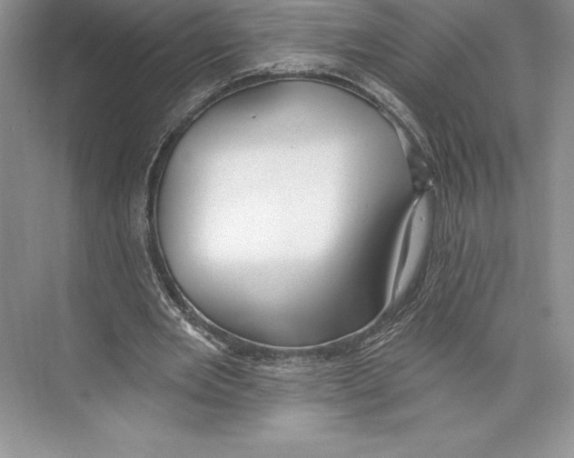 X0000072490485200608111606