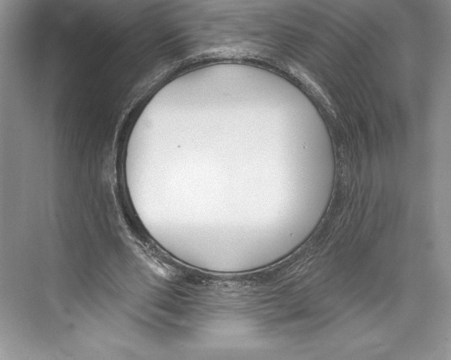 X0000072490486200608111606