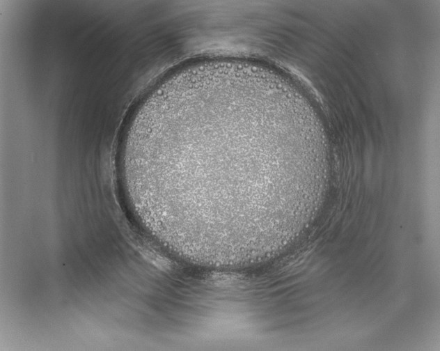 X0000072490487200608111606