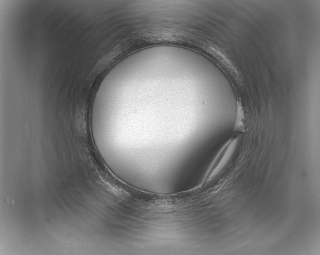 X0000072490489200608111606