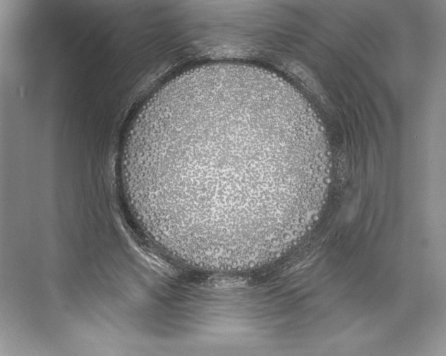 X0000072490491200608111606