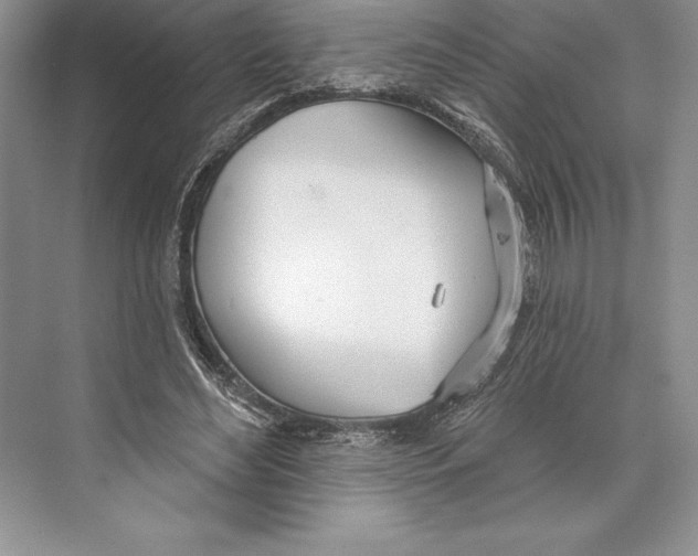 X0000072490492200608111606