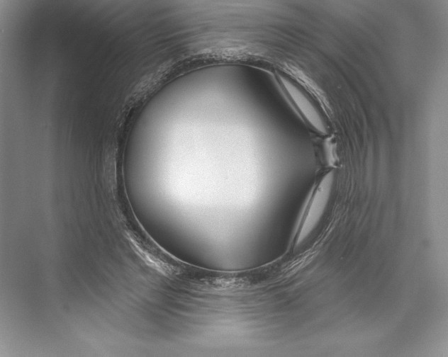 X0000072490493200608111606