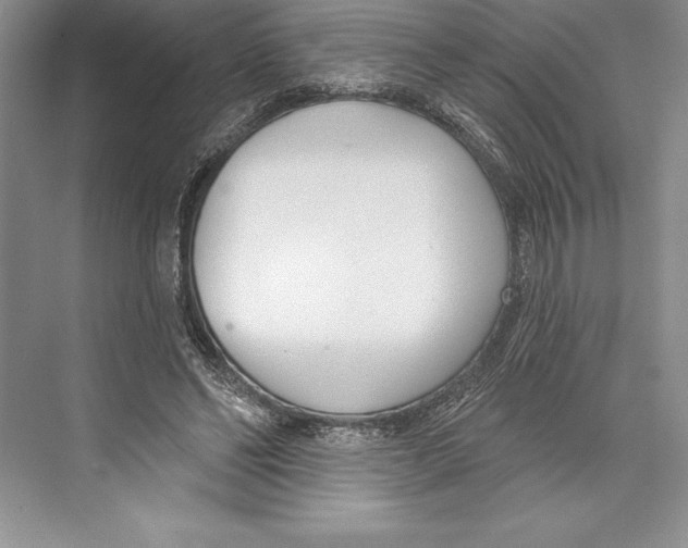 X0000072490494200608111606