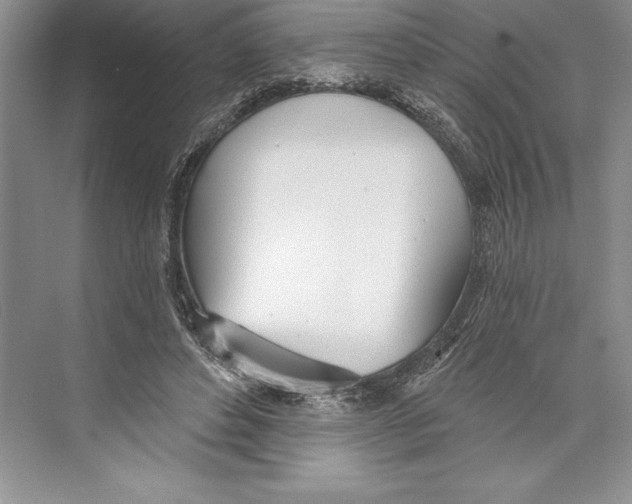 X0000072490496200608111606