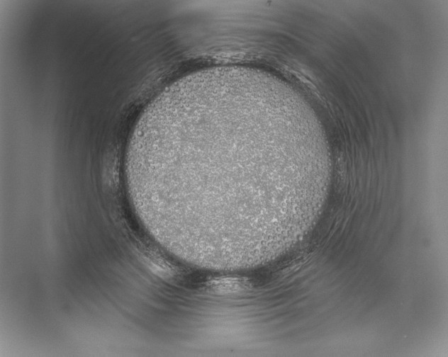 X0000072490499200608111606