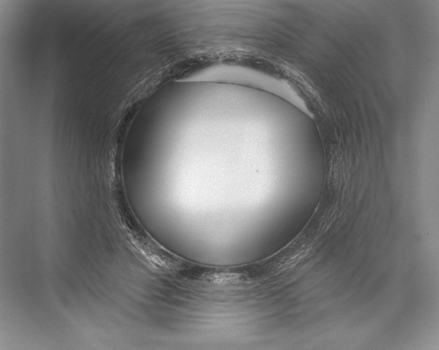 X0000072490501200608111606