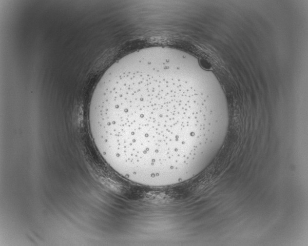 X0000072490502200608111606