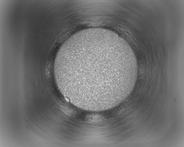 X0000072490503200608111605