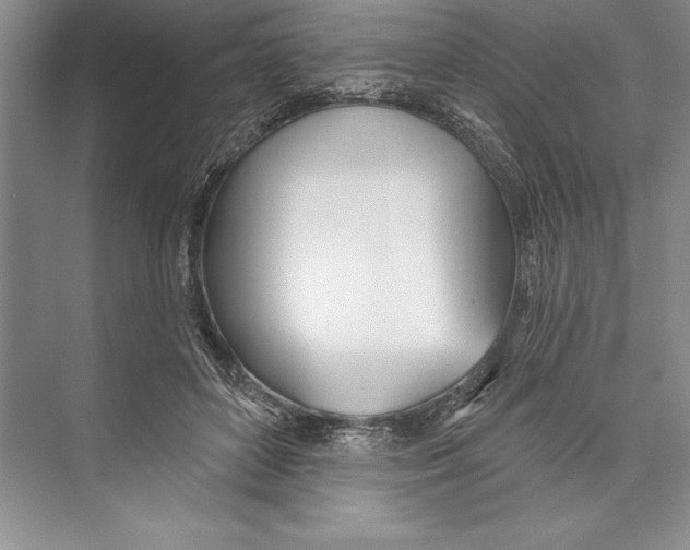 X0000072490504200608111605