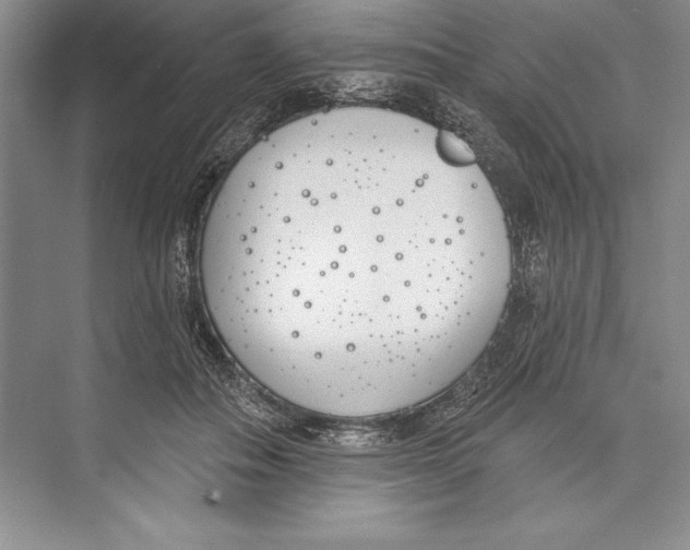 X0000072490506200608111605