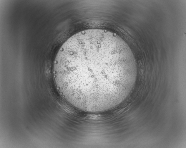 X0000072490507200608111605