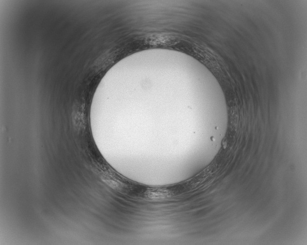 X0000072490510200608111605