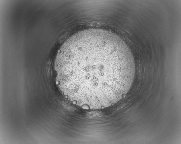 X0000072490511200608111605