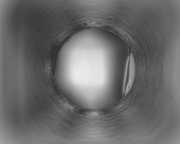 X0000072490513200608111605