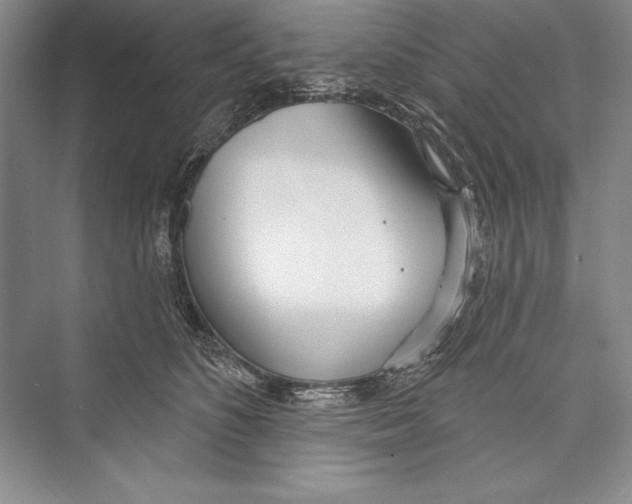 X0000072490516200608111605