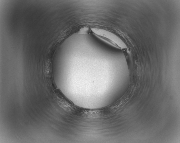 X0000072490517200608111605