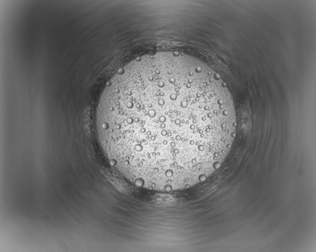 X0000072490519200608111605