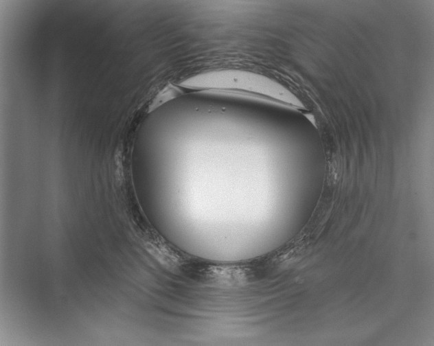 X0000072490520200608111605