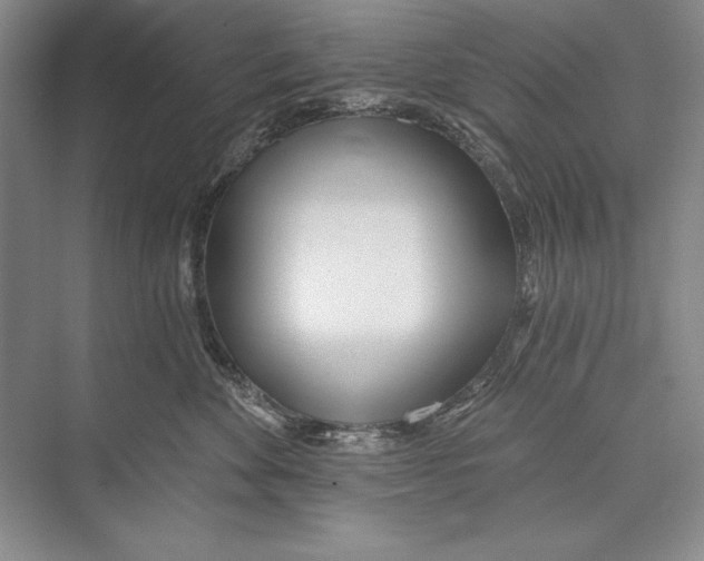 X0000072490524200608111605