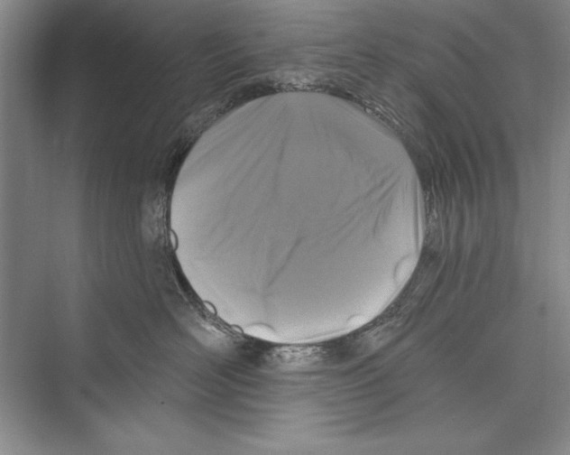 X0000072490526200608111605