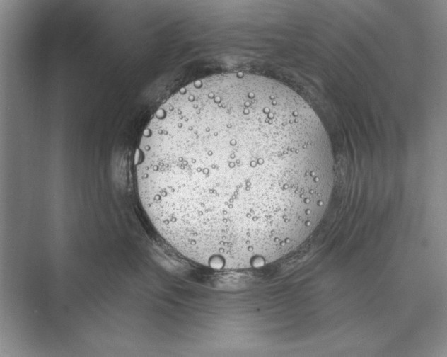 X0000072490527200608111605