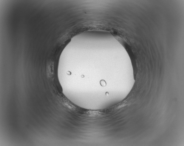 X0000072490528200608111605