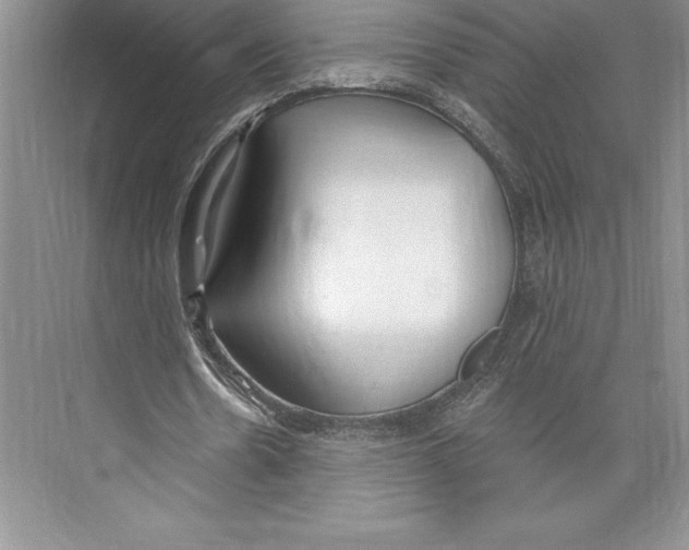 X0000072490530200608111604