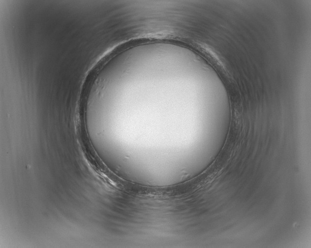 X0000072490532200608111604