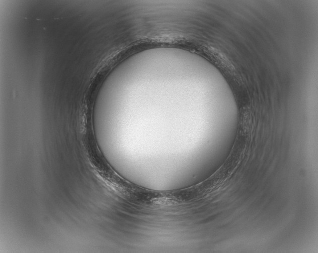 X0000072490544200608111605