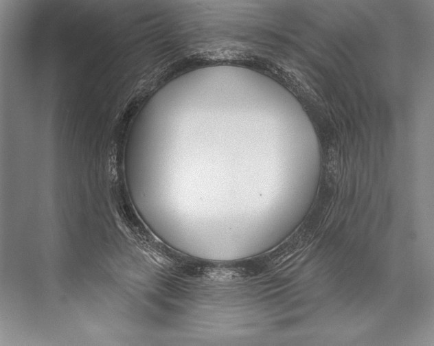 X0000072490547200608111605