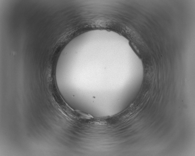 X0000072490548200608111605