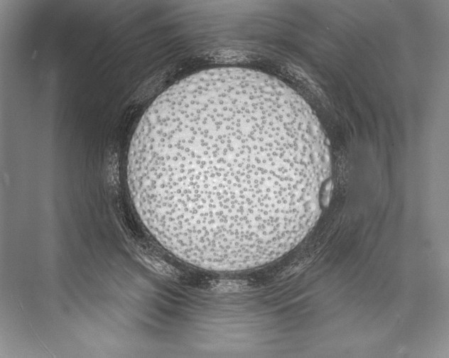 X0000072490549200608111605