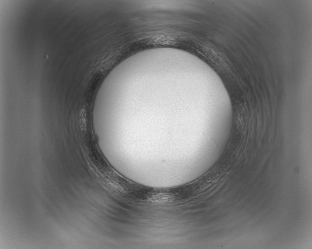 X0000072490551200608111605