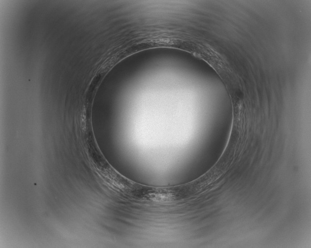 X0000072490552200608111605