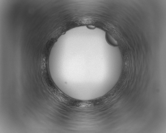 X0000072490555200608111605