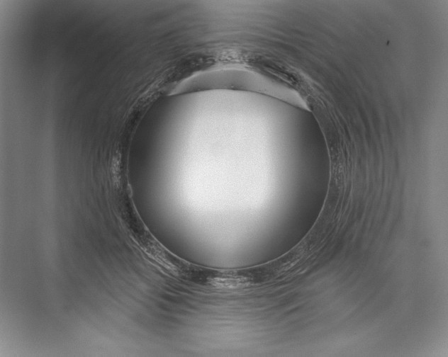 X0000072490556200608111605