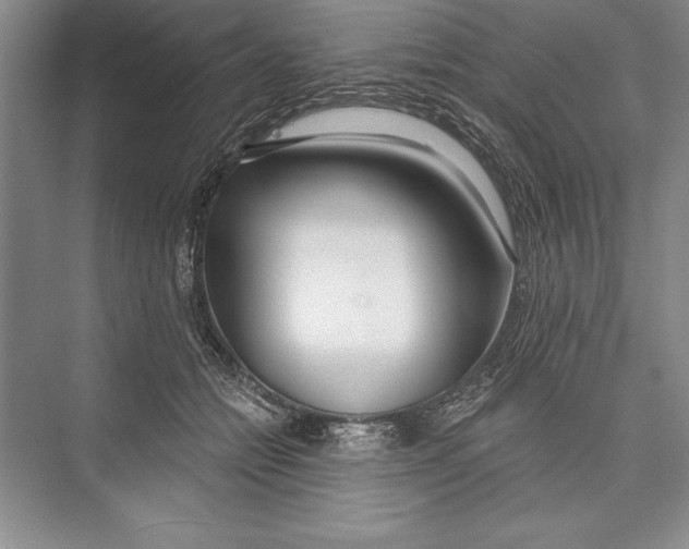 X0000072490558200608111605