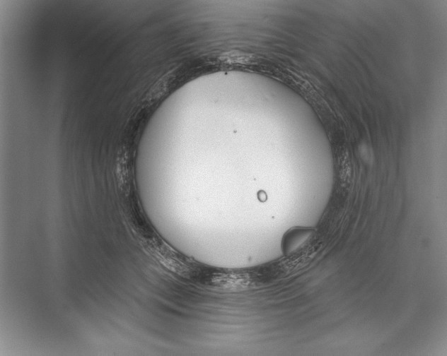 X0000072490559200608111605