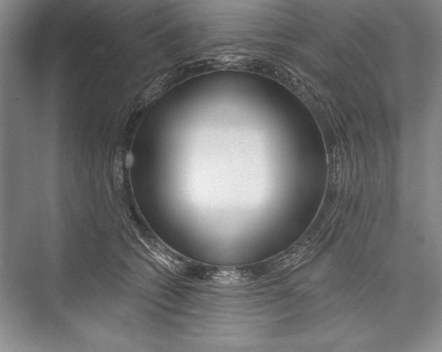 X0000072490562200608111605