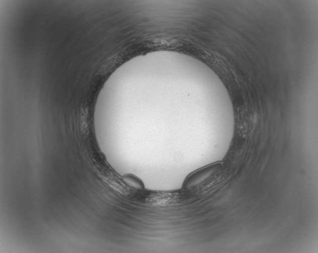 X0000072490563200608111605