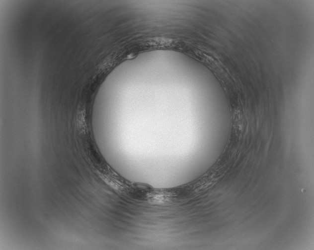 X0000072490564200608111605