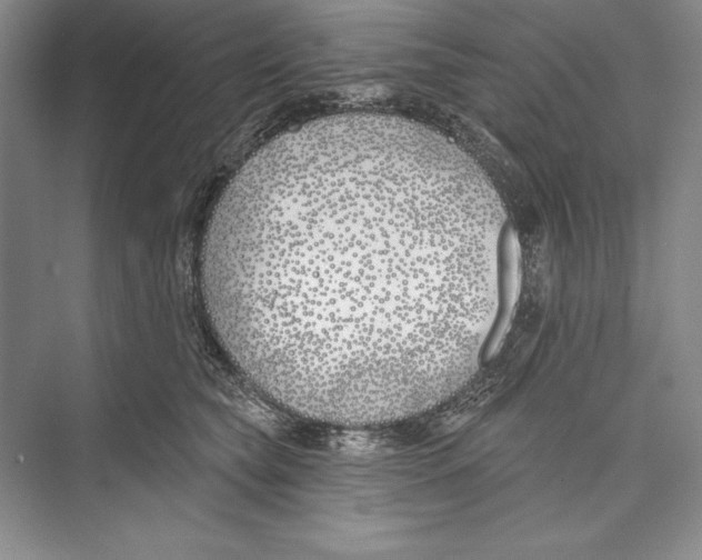 X0000072490565200608111605