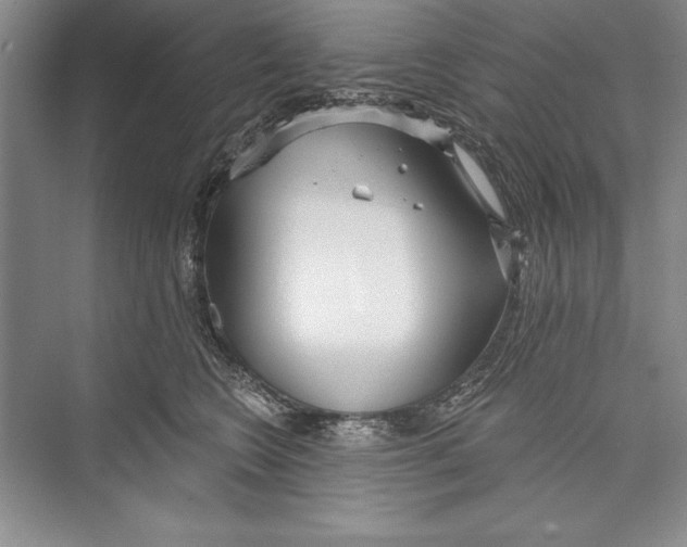 X0000072490566200608111605